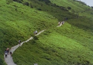 西登山道コース