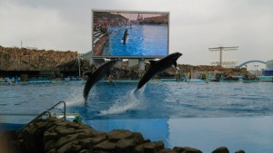 名古屋水族館