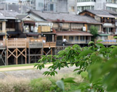 京都鴨川『納涼床』