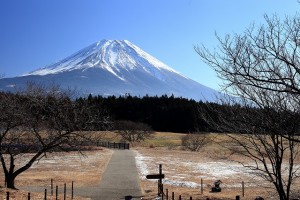 朝霧高原の富士山1142