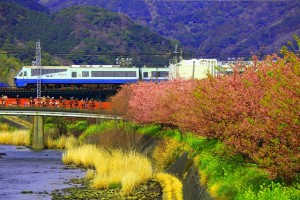 桜と電車0024