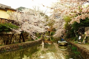 近江八幡八幡堀HDRﾅﾁｭ