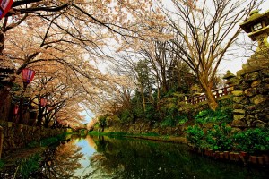 近江八幡八幡堀HDRﾅﾁｭﾗﾙ