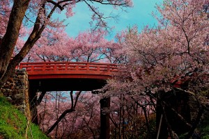 高遠城址の城門橋HDR