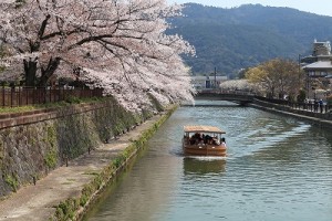 京都疎水平安神宮IMG_0021