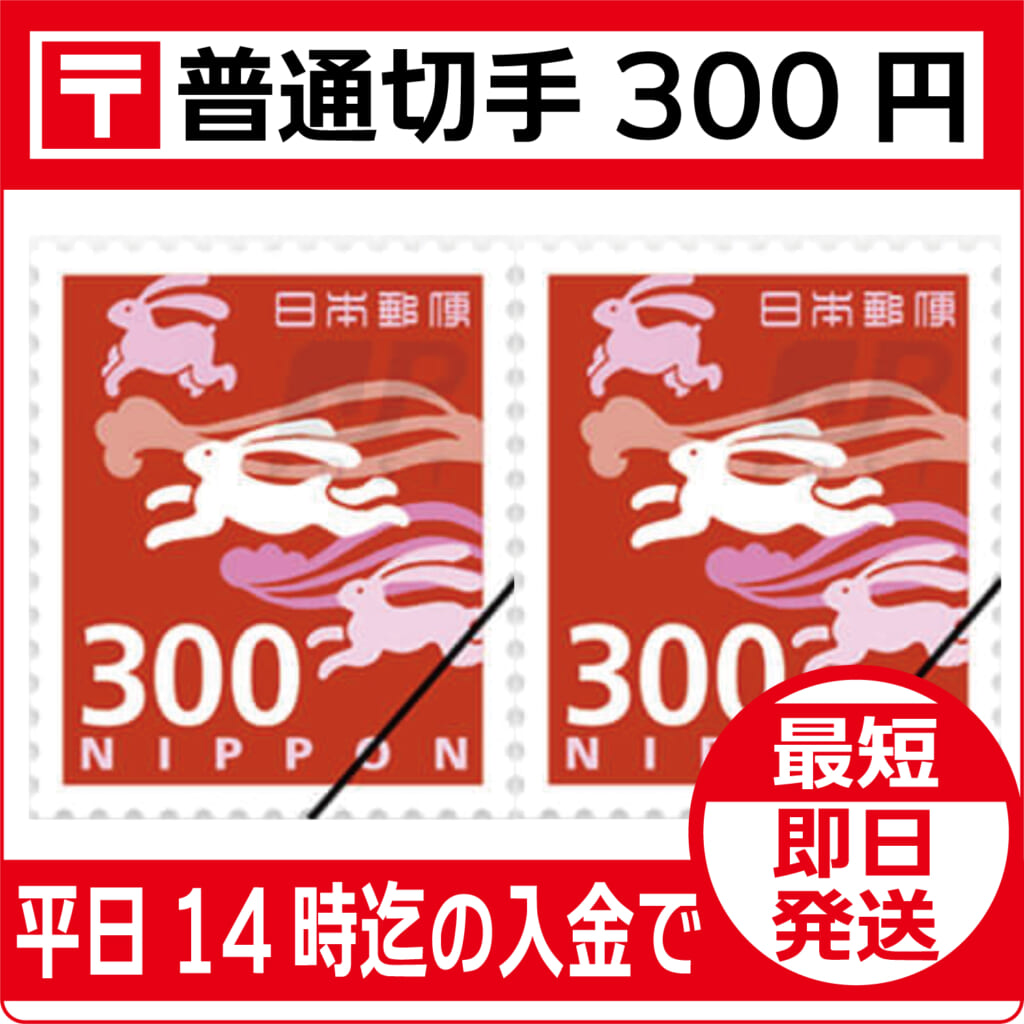 f-kitte-300