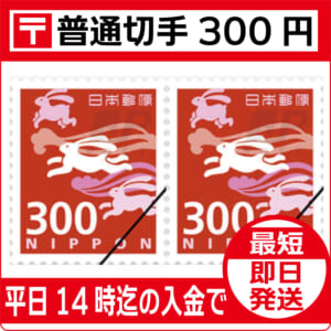 f-kitte-300