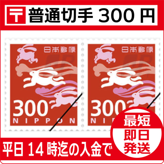 f-kitte-300
