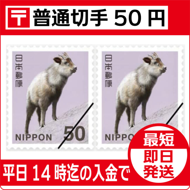 f-kitte-50