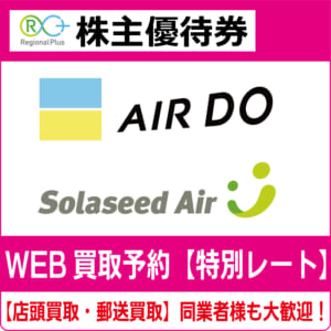 エアドゥ・ソラシドエア株主優待券29枚 
